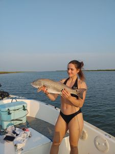 Folly Beach Fishing Charters, Red Drum